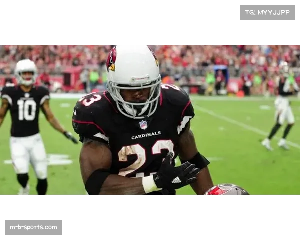 福建引进老熟人皮特森 期待其熟悉体系快速产生化学反应